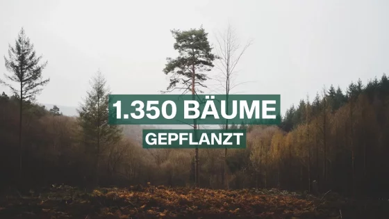 thumbnail-video-baumann-container-baume-pflanzen-aktion