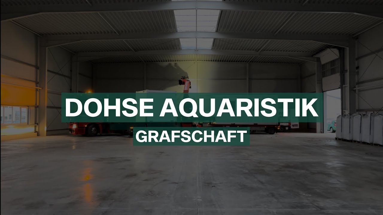 dohse-aquaristik-grafschaft-baumann-container